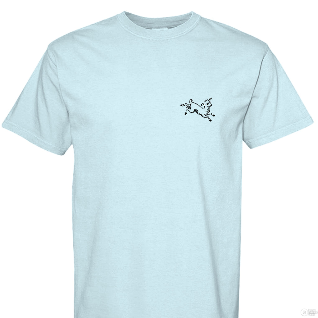 CHAMBRAY - FRONT